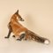 Large German Porcelain Figure of Fox by Karner for Rosenthal, 20th Century, Image 6