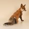 Large German Porcelain Figure of Fox by Karner for Rosenthal, 20th Century, Image 4