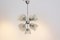 Mid-Century Chrome and Frosted Tulip Glass Chandelier by Doria 1