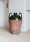 Antique Neapolitan Glazed Jar, Image 7