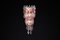 Pink and Clear Murano Glass Wall Chandeliers by Carlo Scarpa, 1960, Set of 2 8