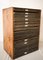 Vintage Zoological or Collectors Chest of Drawers, Image 1
