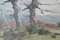 Paysage d'Arbres et de Montagnes, 1920s, Huile sur Toile 2