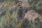 Vicente Gomez Fuste, Villaggio e montagne post impressionisti, Olio su tela, Immagine 6