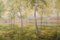 Domingo Soler Gili, Una nebbiosa giornata estiva, anni '20, Olio su tela, Immagine 3