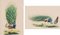 Peacocks, Goauche Paintings, Set of 2 1