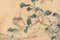 Uccelli, XIX-XX secolo, xilografia, Immagine 5