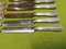 Model Chinon Cutlery Set from Christofle, France, 1930s, Set of 36 7