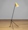 Metal Grasshopper Giraffe Floor Reading Lamp with Vanille Shade, Sweden, 1940s 1