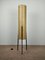 Lámpara de pie trípode de fibra de vidrio y metal de Dame & Co., años 60, Imagen 1