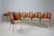 King Costes Armchairs by Philippe Starck for Aleph / Driade, Italy, 1990s, Set of 8 12