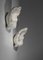 Muschel Wandleuchten aus Gips im Stil von Serge Roche, 1950er, 2er Set 15