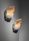 Shell Sconces in Plaster in the style of Serge Roche, 1950s, Set of 2 3