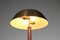 Schwedische Tischlampe aus Messing & Leder, 1960er 5