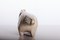 Stoneware Cat by Lisa Larson for Gustavsberg 6
