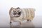Stoneware Cat by Lisa Larson for Gustavsberg, Image 3