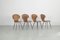 Italian Chairs by Carlo Ratti for Industria Legni Curvati, 1950s, Set of 4 2