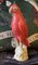 Red Parrot Figurine by Gand & C Interiors 3