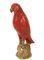 Rote Papagei Figur von Gand & C Interiors 1