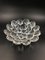 French Art Deco Glass Bowl with Shells and Fossil Motif, 1930s 1
