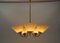 Mid-Century 5-Light Glass & Brass Ceiling Lamp, 1950s 2