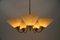 Mid-Century 5-Light Glass & Brass Ceiling Lamp, 1950s 5