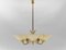 Mid-Century 5-Light Glass & Brass Ceiling Lamp, 1950s 1