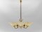 Plafonnier à 5 Lampes Mid-Century en Verre et Laiton, 1950s 1