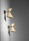 French Diabolo Wall Lights in style of Mathieu Matégot, 1950s, Set of 2, Image 11