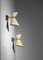 Lámparas de pared Diabolo francesas en estilo de Mathieu Matégot, años 50. Juego de 2, Imagen 11