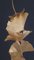 Golden Gingko 7 Foglie di Kuno Vollet, Immagine 3