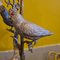Lámpara de mesa con motivo de pájaro al estilo de Maison Jansen, años 60, Imagen 5