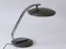 Mid-Century Modern Boomerang Table Lamp by Fase, 1960s 18