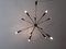 12-Light Sputnik Ceiling Light from Stilnovo 19