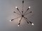 12-Light Sputnik Ceiling Light from Stilnovo, Image 19