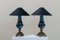 Lampade vintage in porcellana blu e calamina, set di 2, Immagine 2