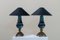 Vintage Lamps in Calamine and Blue Porcelain, Set of 2, Image 2