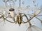 Brass & Acrylic Crystal Glass 12-Light Chandelier by Emil Stejnar for Rupert Nikoll, Vienna, Austria, 1950s 8