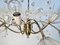 Lámpara de araña de latón y cristal acrílico con 12 luces de Emil Stejnar para Rupert Nikoll, Viena, Austria, años 50, Imagen 8
