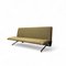 First Series D70 Sofa by Osvaldo Borsani for Tecno, 1954, Image 1