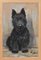 Marion Rodger Hamilt Harvey, Dogs Portrait, Pastel on Paper, 20th Century, Framed, Image 1