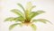 Vintage Palm Kronleuchter aus Muranoglas 7