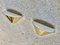 Cone-Shaped Brass Wall Lamps or Sconces from Glashütte Limburg, Germany, 1960s, Set of 2, Image 7