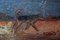 Aleksandr Rodin, Walk, Olio su cartone, Immagine 3