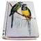 French Porcelain Hand Painted Jewelry Box with Parrot Patterns, 1970 3