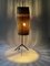 Lámpara de pie Renee austriaca Mid-Century de mimbre atribuida a JT Kalmar, años 60, Imagen 16