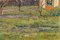 Max Kahrer, Vista de huertos en flor, 1918, óleo sobre lienzo, Imagen 5