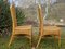 Wicker and Rattan Chairs, 1980s, Set of 2, Image 5