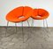 Orange Little Apollo Chair by Patrick Norguet for Artifort, 2000s 8