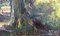 Laure Stella Bruni, Lac et Montagnes, Oil on Canvas, Framed, Image 3